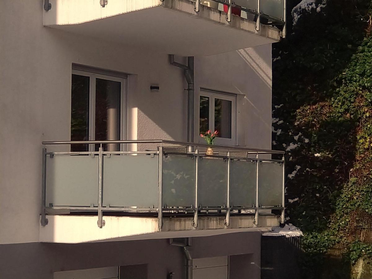 Ferienwohnung Am Wolfsweg Merzig Extérieur photo